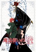 The Ancient Magus Bride Vol.1 [Limited Edition] thumbnail 2