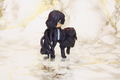 The Ancient Magus' Bride MAG Premium Vignette Collection Mascot Collection (Set of 8 pieces) (Re-run) thumbnail 54