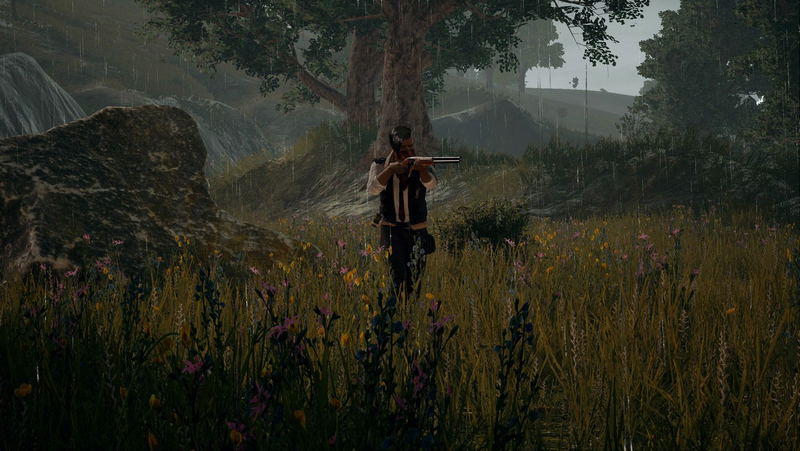 PlayerUnknown's Battlegrounds <span class="ext ext_digital">digital</span> image 8