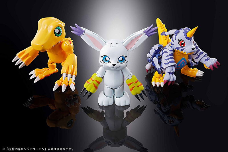 Digivolving Spirits 04 Digimon Adventure: Angewomon image 7