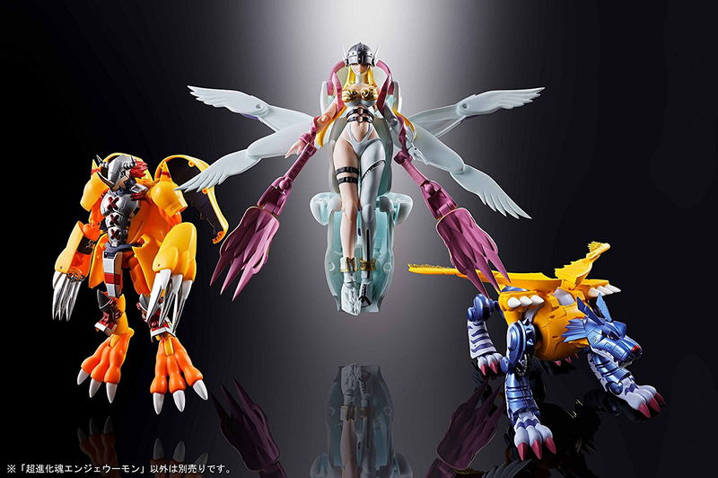 Digivolving Spirits 04 Digimon Adventure: Angewomon image 8