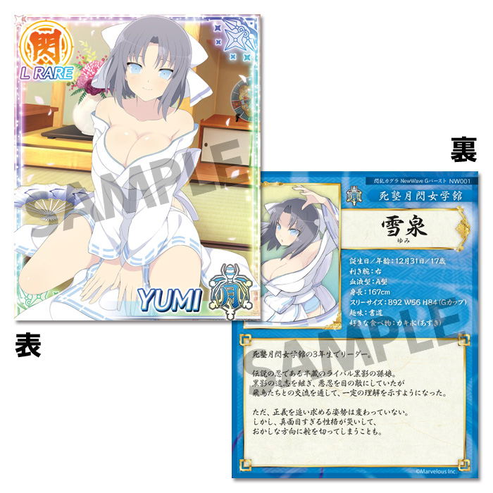 Senran Kagura New Wave G Burst Drama CD & Real Card Set image 3