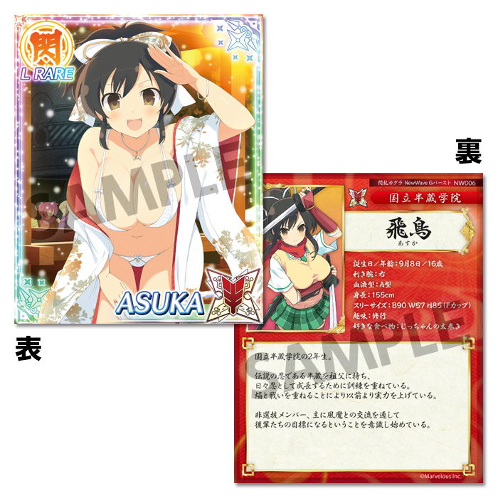 Senran Kagura New Wave G Burst Drama CD & Real Card Set image 4
