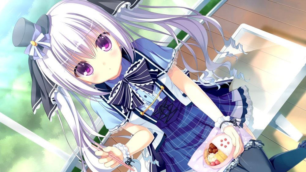 D.S. -Dal Segno- [Limited Edition] for PlayStation Vita