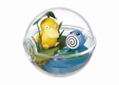 Pokemon Terrarium Collection 2 (Set of 6 pieces) (Re-run) thumbnail 5