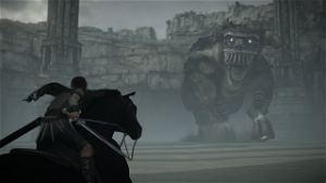 SHADOW OF THE COLOSSUS GAME, PC, PS4, SPECIAL EDITION, By Hse