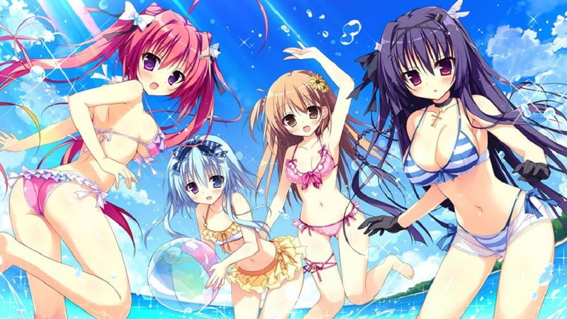 Natsuiro Kokoro Log image 2