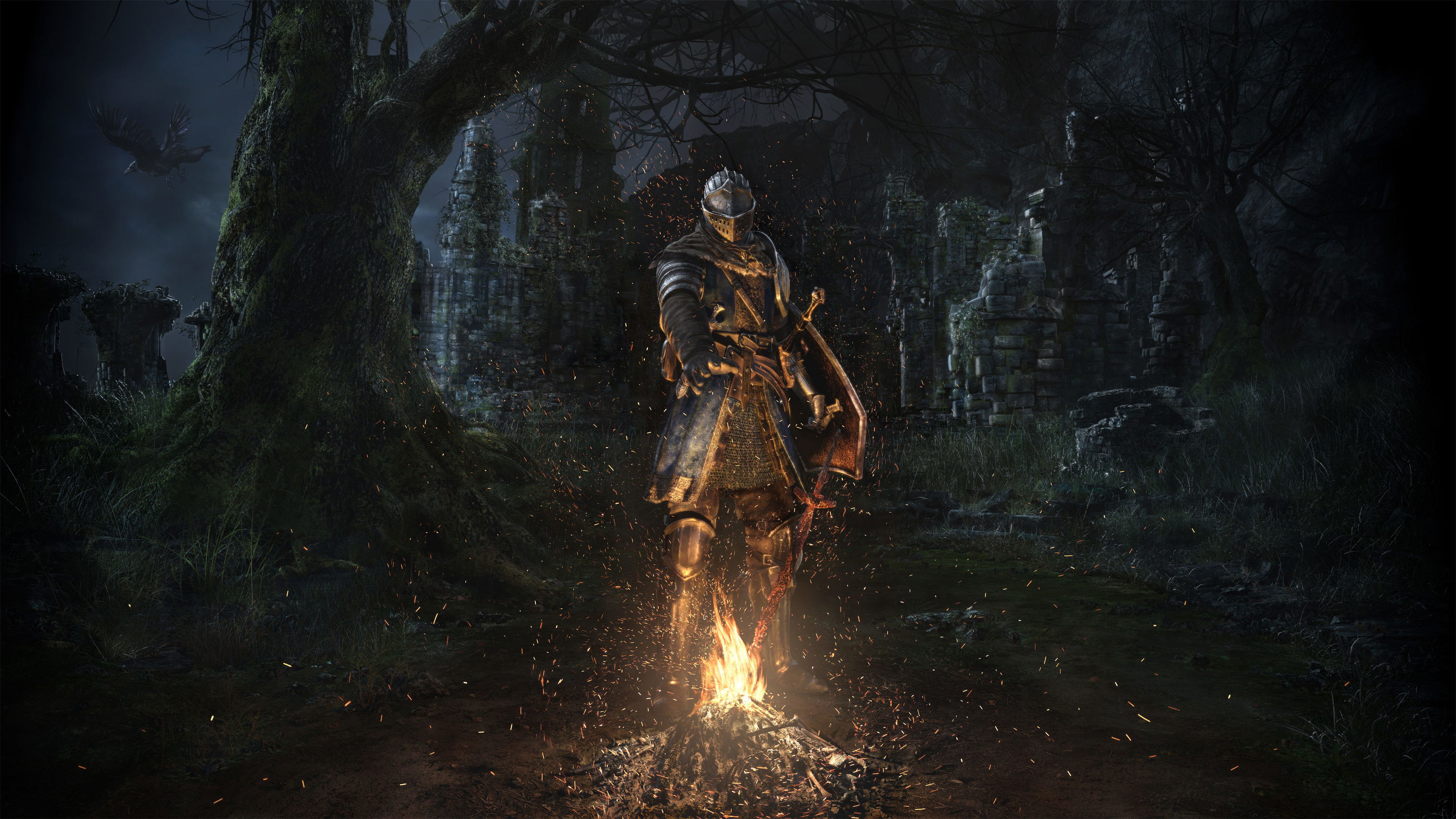 Dark Souls Remastered for Nintendo Switch, Nintendo Switch 2