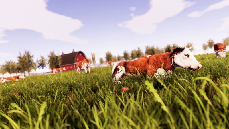 Real Farm <span class="ext" style="background-color: #2a475e; color: #FFFFFF;">STEAM</span> <span class="ext ext_digital">digital</span> image 4