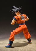 S.H.Figuarts Dragon Ball Z A Saiyan Raised On Earth: Son Goku thumbnail 5