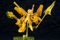 Frame Arms Girl: Gourai Kai Final Battle Ver. [KOTOBUKIYA Limited Ver.] thumbnail 1