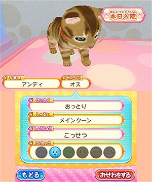 YESASIA: Kawaii Pet to Kurasou! Wan Nyan & Idol Animal (3DS) (Japan  Version) - Nippon Columbia - Nintendo DS / 3DS Games - Free Shipping