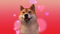 FaceRig <span class="ext" style="background-color: #2a475e; color: #FFFFFF;">STEAM</span> <span class="ext ext_digital">digital</span> thumbnail 2
