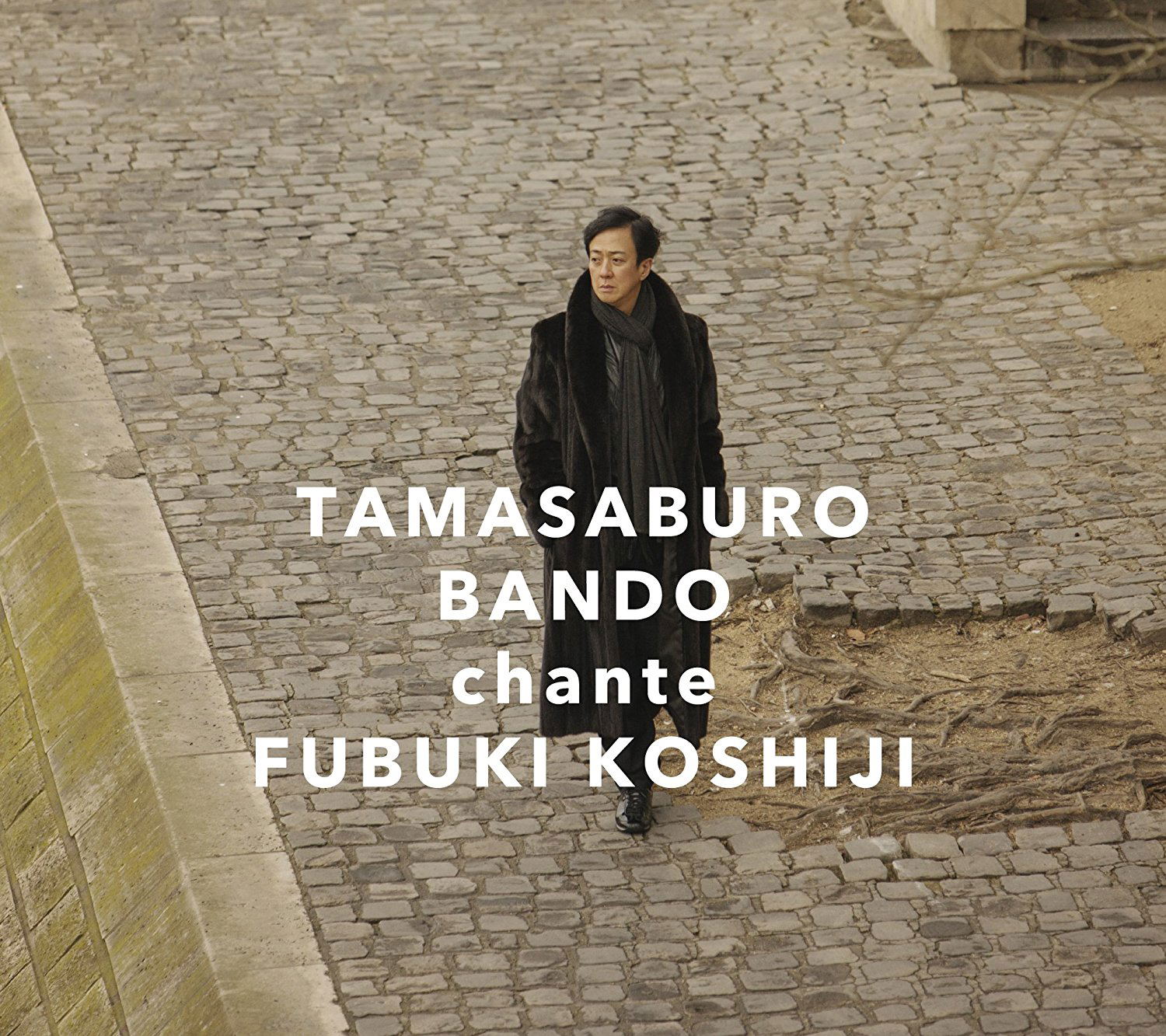Kaiko - Koshiji Fubuki Wo Utau [CD+DVD Limited Edition] — Import Game Deal