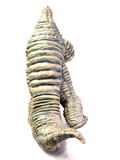 CCP Tokusatsu Series Vol. 081 Ultraman 1/6 Scale Figure: First Red King thumbnail 8