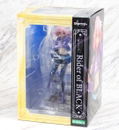 Fate/Apocrypha 1/7 Scale Pre-Painted Figure: Black Rider thumbnail 8