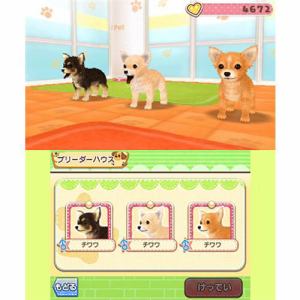 Kawaii Pet to Kurasou! Wan Nyan & Idol Animal image 2