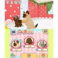 Kawaii Pet to Kurasou! Wan Nyan & Idol Animal thumbnail 3
