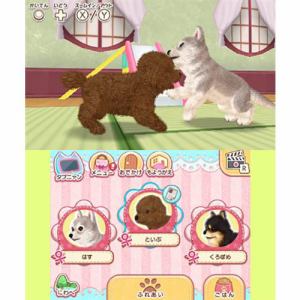 Kawaii Pet to Kurasou! Wan Nyan & Idol Animal image 4