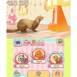 Kawaii Pet to Kurasou! Wan Nyan & Idol Animal image 5