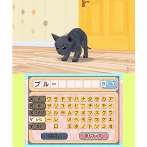 Kawaii Pet to Kurasou! Wan Nyan & Idol Animal
