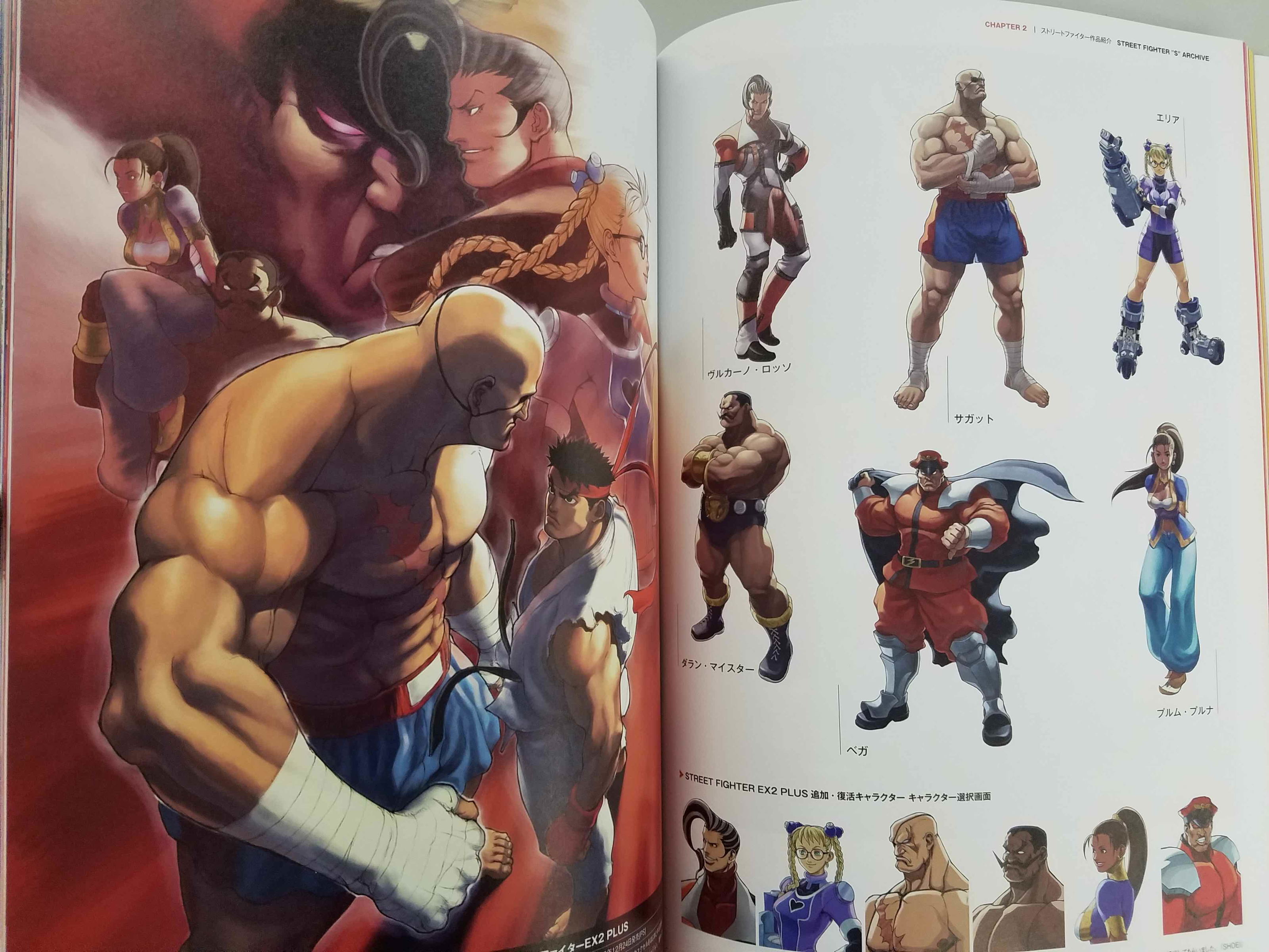 Street Fighter Memorial Archives Beyond the World - From Street