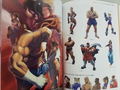 Street Fighter Memorial Archives Beyond the World - From Street Fighter to Street Fighter V thumbnail 4