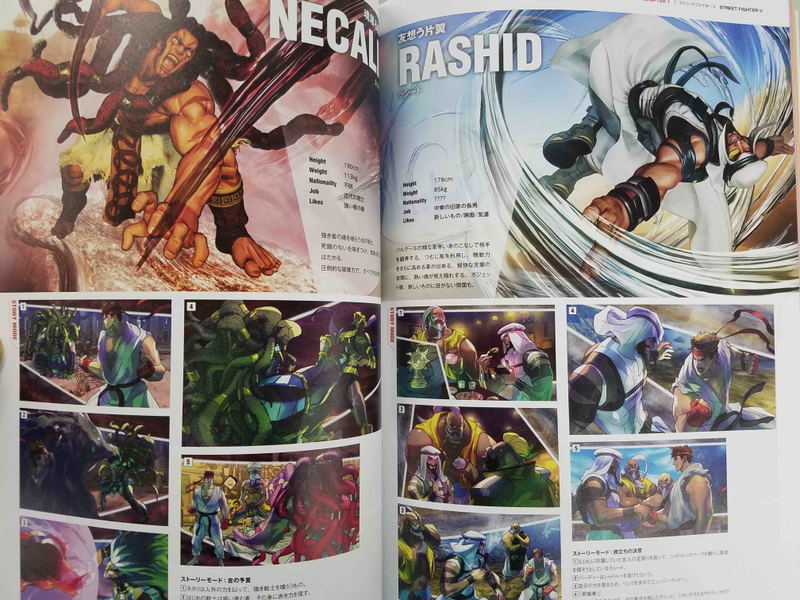 Street Fighter Memorial Archives Beyond the World - From Street Fighter to Street Fighter V image 5