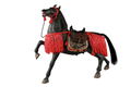 Coo Model SE024 1/6 Scale Series of Empires Rensenashige The Steed thumbnail 1