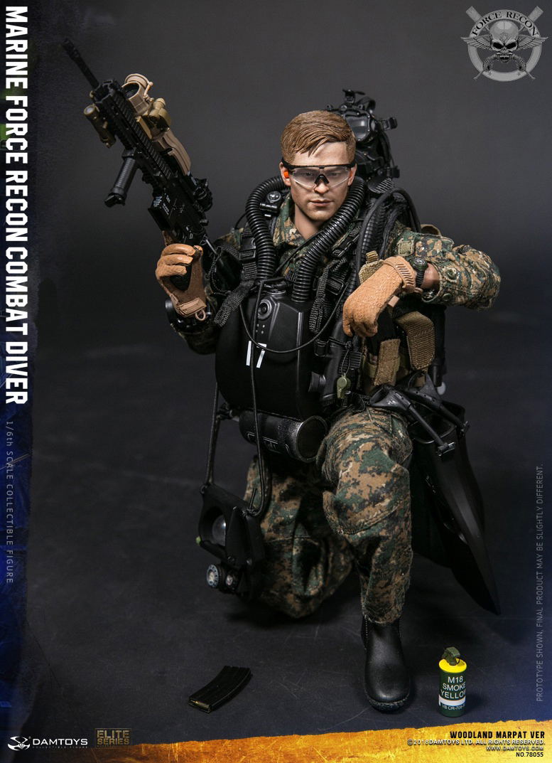 Damtoys 1/6 Scale Figure: Marine Force Recon Combat Diver Woodland