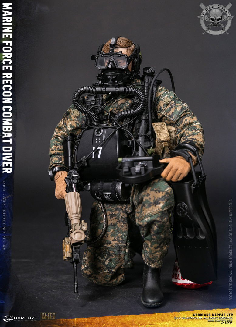 Damtoys 1/6 Scale Figure: Marine Force Recon Combat Diver Woodland