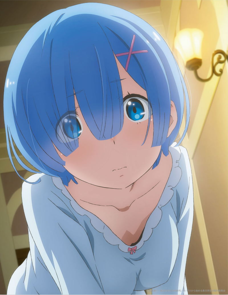 Re:Zero Kara Hajimeru Isekai Seikatsu Canvas Art - Rem Pajamas image 1