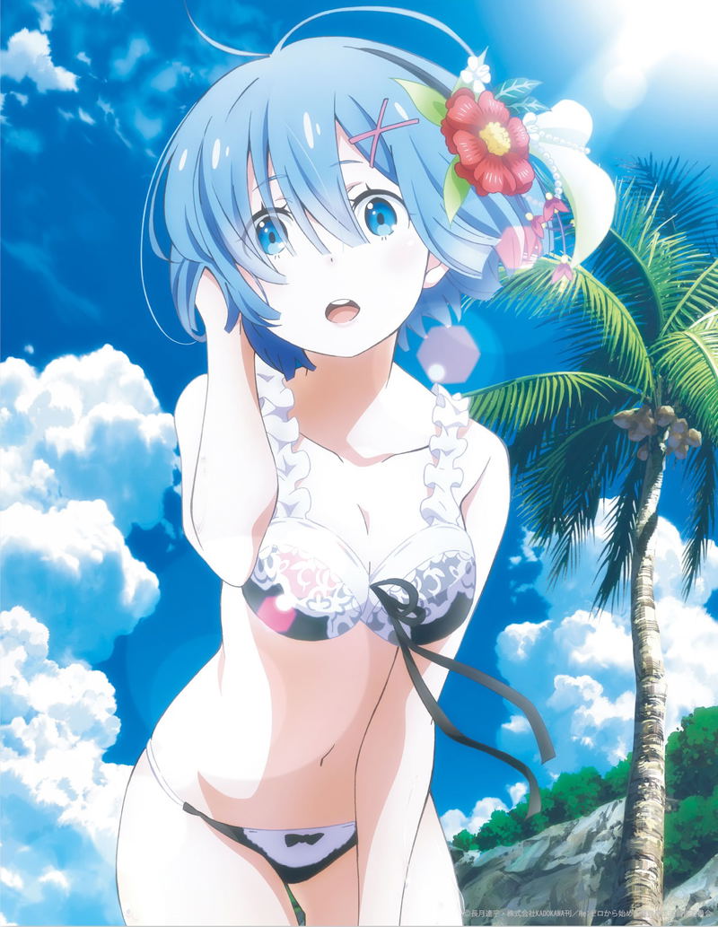 Re:Zero Kara Hajimeru Isekai Seikatsu Canvas Art - Rem Swimwear image 1