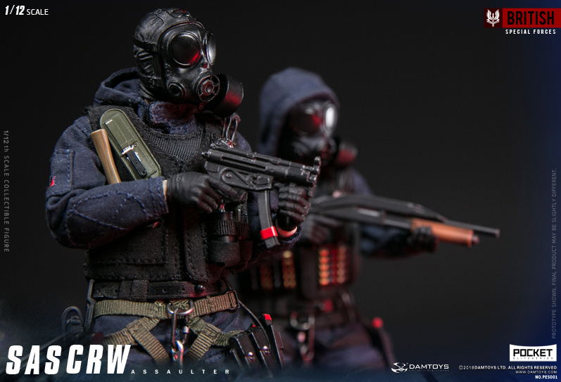 Damtoys 1/12 Scale Figure: Pocket Elite Series SAS CRW Assaulter image 27
