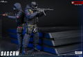 Damtoys 1/12 Scale Figure: Pocket Elite Series SAS CRW Assaulter thumbnail 28