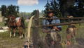 Red Dead Redemption 2 thumbnail 13