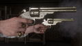 Red Dead Redemption 2 thumbnail 9