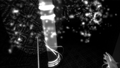 Blind thumbnail 7