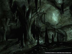 The Elder Scrolls IV: Oblivion (GOTY) [Deluxe Edition]
