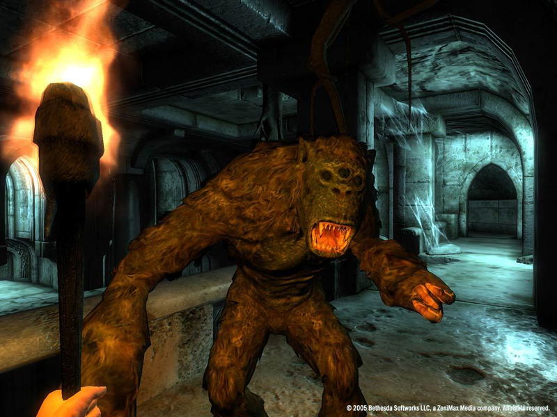 The Elder Scrolls IV: Oblivion (GOTY) [Deluxe Edition] <span class="ext" style="background-color: #2a475e; color: #FFFFFF;">STEAM</span> <span class="ext ext_digital">digital</span> image 7