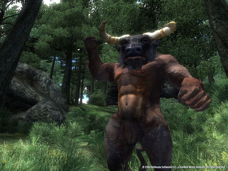The Elder Scrolls IV: Oblivion (GOTY) [Deluxe Edition] <span class="ext" style="background-color: #2a475e; color: #FFFFFF;">STEAM</span> <span class="ext ext_digital">digital</span> image 8