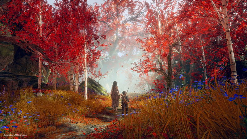 God of War [Collector's Edition] image 8
