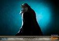 Castlevania Symphony of the Night Statue: Alucard thumbnail 38