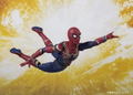 S.H.Figuarts Avengers Infinity War: Iron Spider thumbnail 8