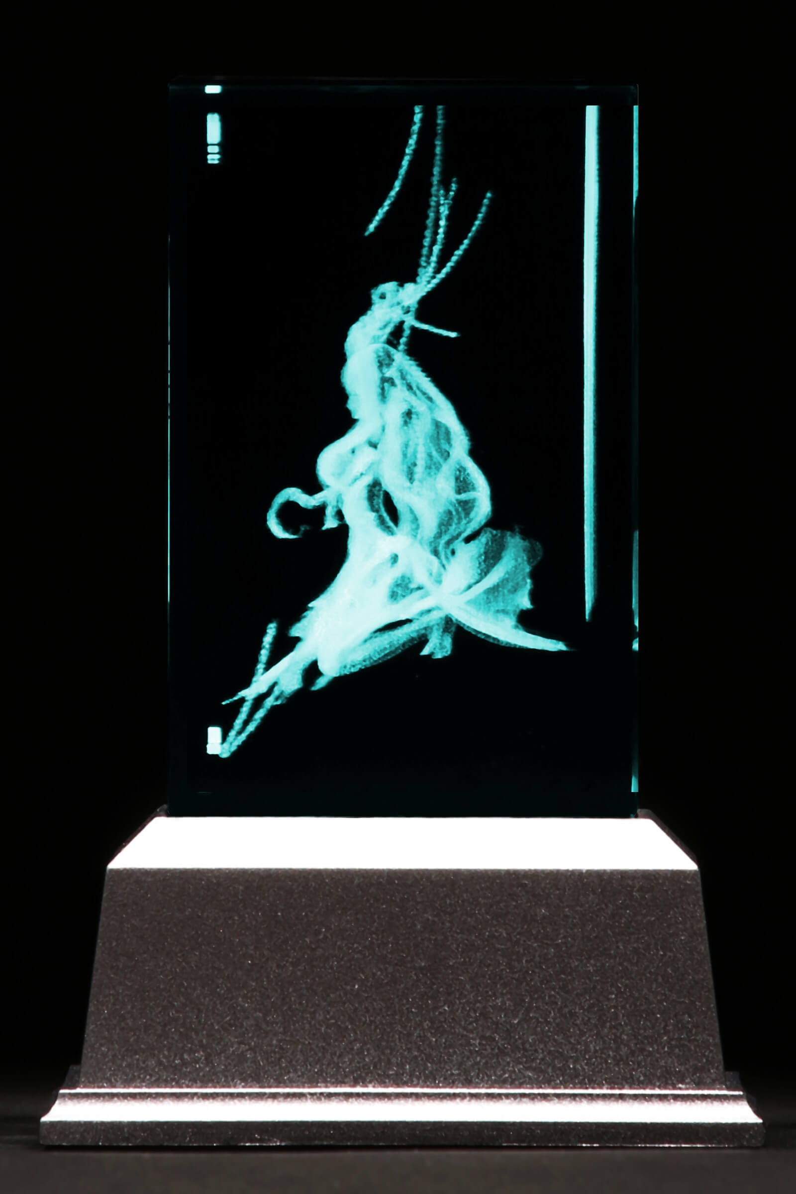 Dies irae Premium Crystal: Marie