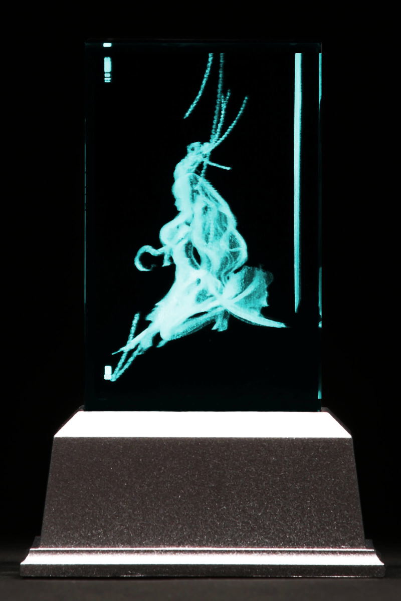 Dies irae Premium Crystal: Marie image 4