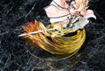 Fate/kaleid liner Prisma Illya 3rei!! 1/7 Scale Pre-Painted Figure: Illya / Saber thumbnail 5