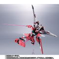 Metal Robot Spirits -Side MS- Mobile Suit Gundam Destiny:  Infinite Justice Gundam thumbnail 8