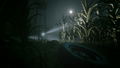 Outlast 2 <span class="ext" style="background-color: #2a475e; color: #FFFFFF;">STEAM</span> <span class="ext ext_digital">digital</span> thumbnail 2