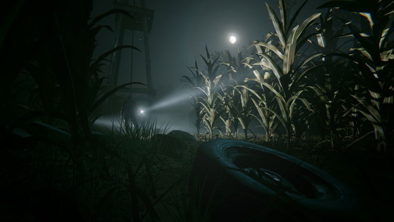 Outlast 2 <span class="ext" style="background-color: #2a475e; color: #FFFFFF;">STEAM</span> <span class="ext ext_digital">digital</span> image 2